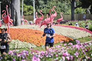 BIB: 
                            <button type="button" onclick="openModal(27793735)" class="btn btn-primary btn-sm float-right btn-popup" data-toggle="modal" data-target=".modal-high-quality">
                        <i class="fas fa-shopping-cart"></i> Add to Cart
                    </button>
                                            <button type="button" onclick="isThisMe(27793735, true)" class="btn btn-success btn-sm float-right btn-popup btn-isme hidden" data-toggle="tooltip" data-placement="bottom" title="นี่คือรูปของคุณใช่ไหม คลิกที่นี่เพื่อเอาเข้าอัลบั้ม">
                        <i class="fas fa-plus"></i> Add to album
                    </button>
                    <button type="button" onclick="isThisMe(27793735, false)" class="btn btn-warning btn-sm float-right btn-popup btn-isnotme hidden">
                        <i class="fas fa-ban"></i> Remove from album
                    </button>